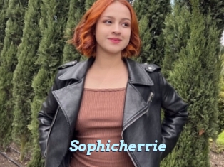 Sophicherrie