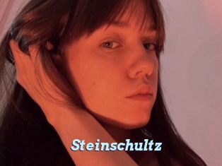 Steinschultz