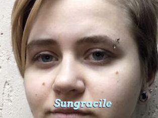 Sungracile