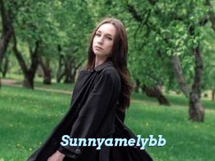 Sunnyamelybb