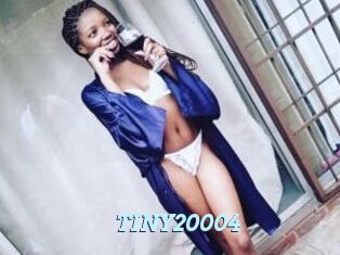 TINY20004
