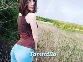 Tammilla_