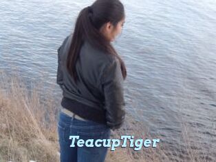 TeacupTiger