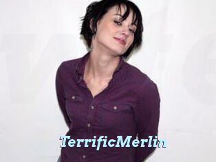 TerrificMerlin