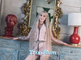 TrixiPlum