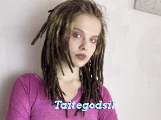 Taitegodsil