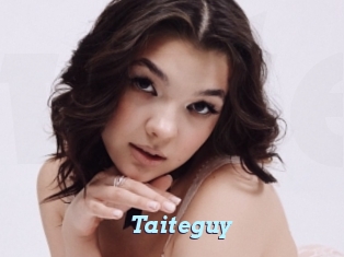 Taiteguy