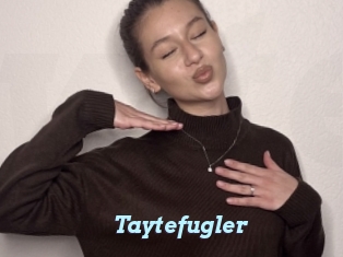 Taytefugler
