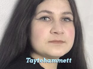 Taytehammett