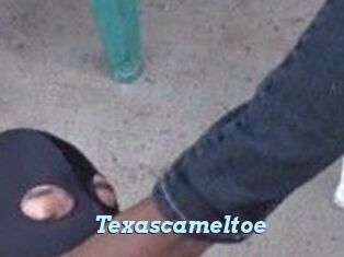 Texascameltoe