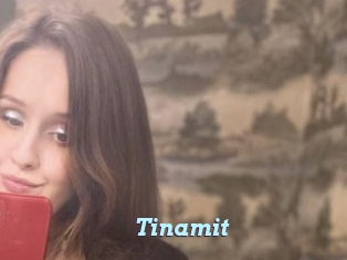 Tinamit