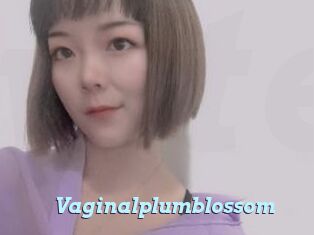 Vaginalplumblossom