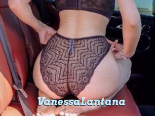 VanessaLantana