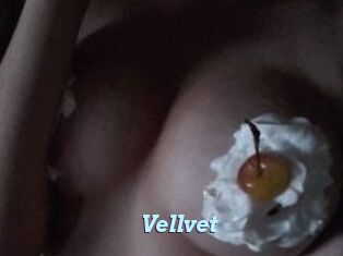 Vellvet