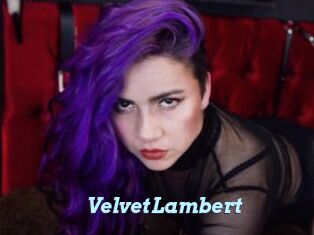 VelvetLambert