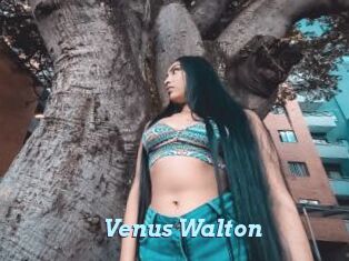 Venus_Walton