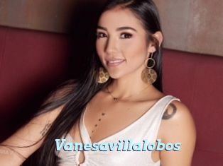 Vanesavillalobos