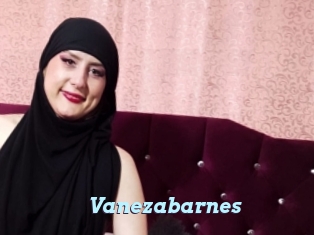 Vanezabarnes