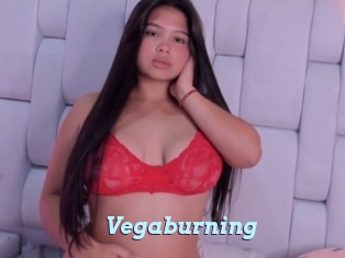 Vegaburning