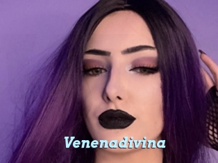 Venenadivina