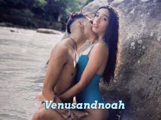 Venusandnoah