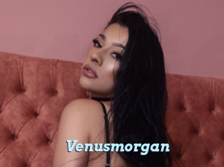 Venusmorgan
