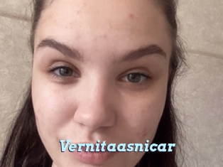 Vernitaasnicar