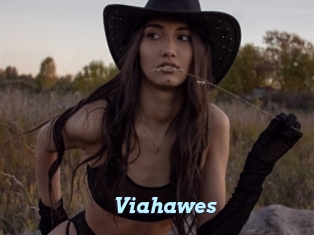 Viahawes