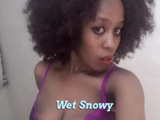 Wet_Snowy