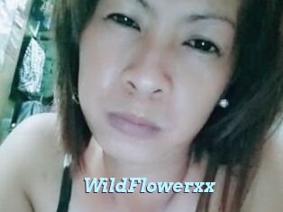 WildFlowerxx