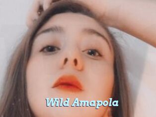 Wild_Amapola