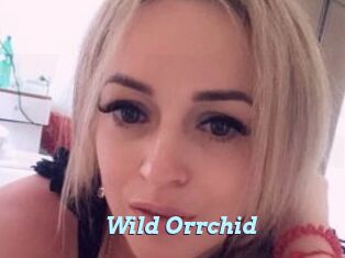 Wild_Orrchid