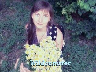 Wildcumster