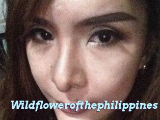 Wildflowerofthephilippines