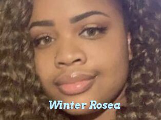 Winter_Rosea