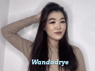 Wandadrye