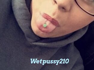 Wetpussy210