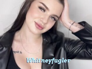 Whitneyfugler
