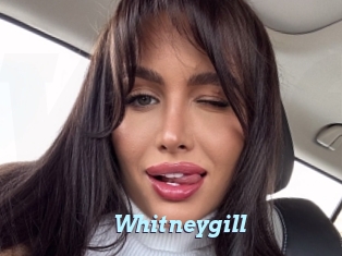 Whitneygill