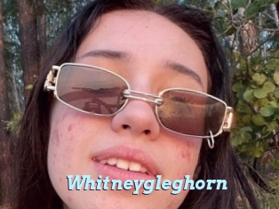 Whitneygleghorn