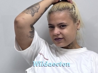 Wildaecton