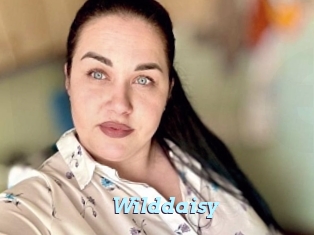 Wilddaisy