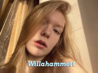 willahammett Webcam Teen