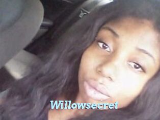Willow_secret