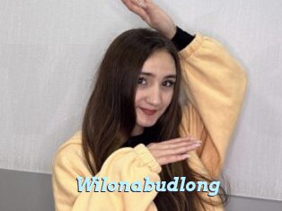 Wilonabudlong