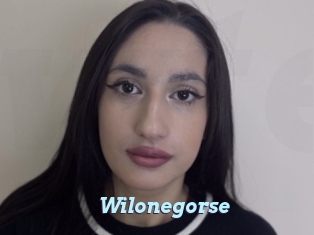 Wilonegorse