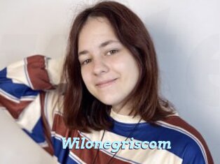 Wilonegriscom