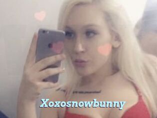 Xoxosnowbunny