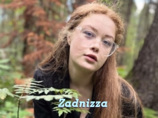Zadnizza
