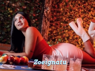 Zoeignatu